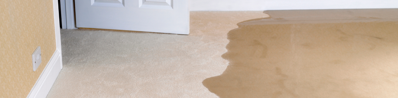 all pro carpet cleaning - emergency
