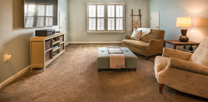 all pro carpet cleaning living room