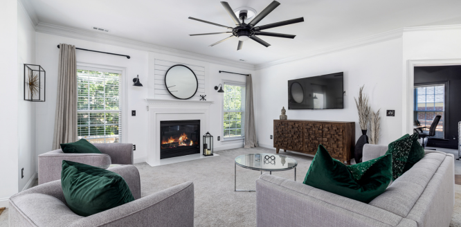 all pro carpet cleaning deluxe living room
