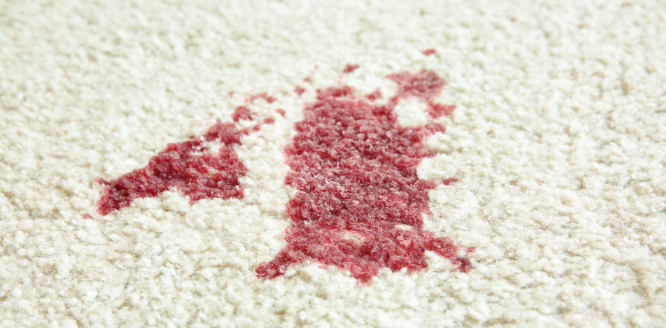all pro carpet cleaning - carpet cleaning